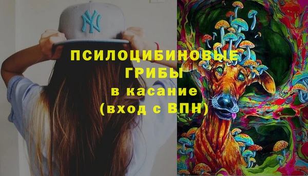 спиды Дмитровск
