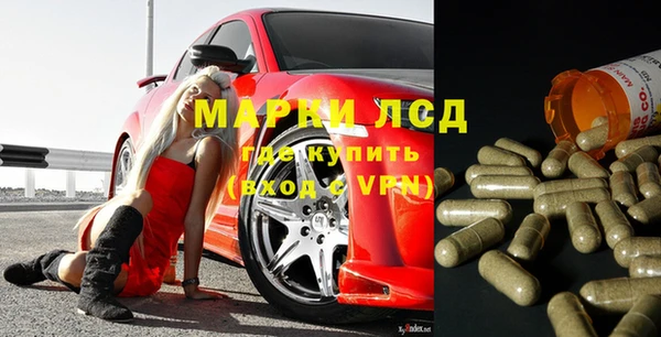 прущие крисы Гусев