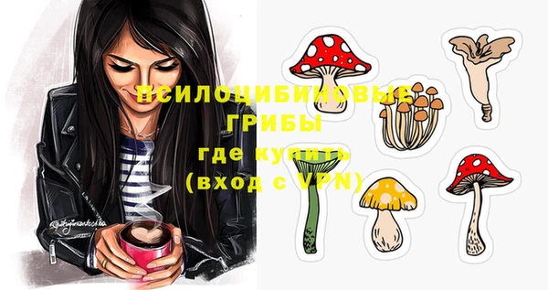 прущие крисы Гусев