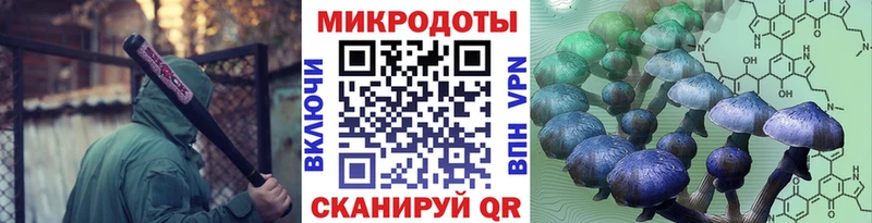 купить наркотик  kraken вход  Псилоцибиновые грибы Cubensis  darknet какой сайт  Дедовск 