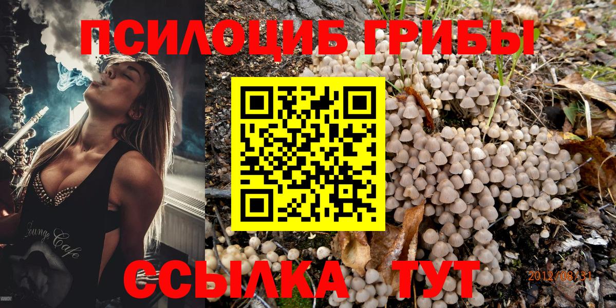 Псилоцибиновые грибы MAGIC MUSHROOMS  Вход с VPN  Дедовск 